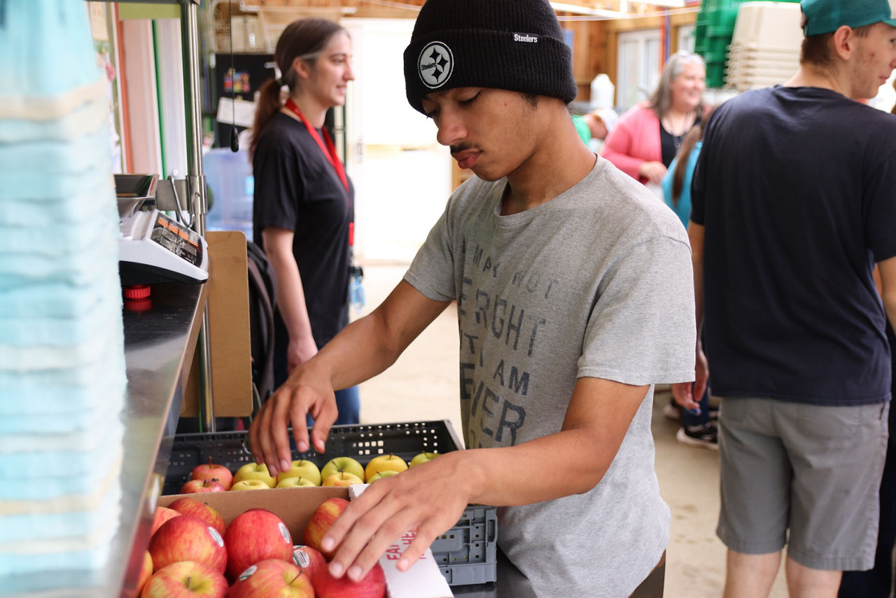 A young man arranges apples in a box at a produce stand, while other people converse and shop in the background.