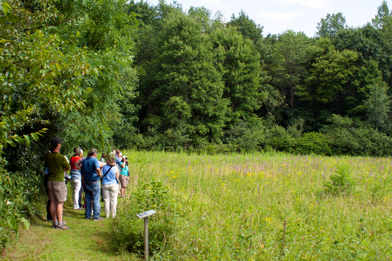 A group of adults looking at the native prairie surrounded by forests