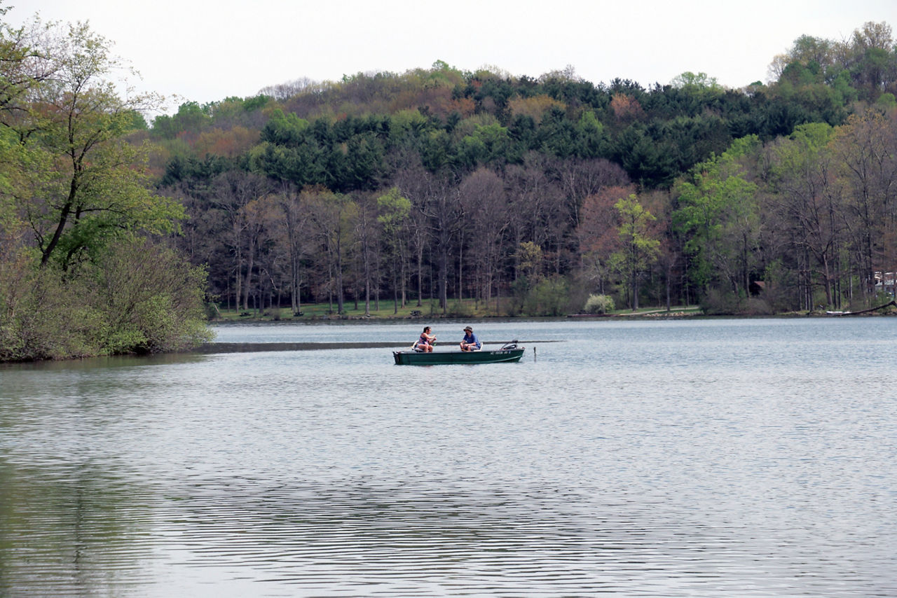 A couple paddling a canoe on a lake surrounded by forest