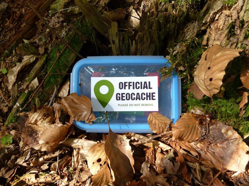 A blue container with the words "Official Geo Cache" on the label is nestled in a blanket of autumn leaves.