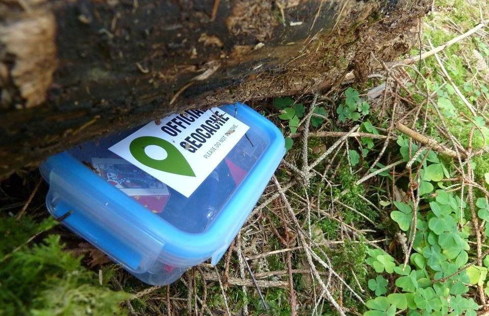 A blue tuperware geocache tucked under a log