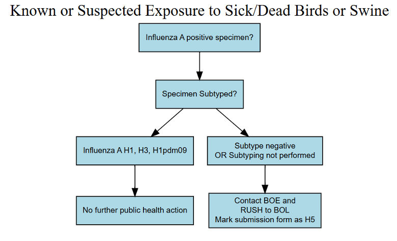 known exposure to sick/dead birds or swine