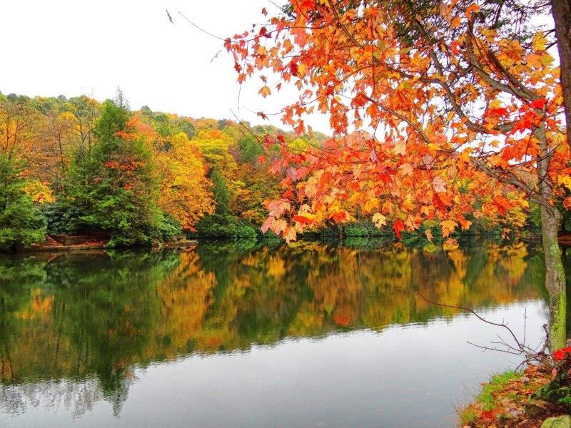 A tree with red leaves along the side of a body of water reflecting the autumn foliage collors