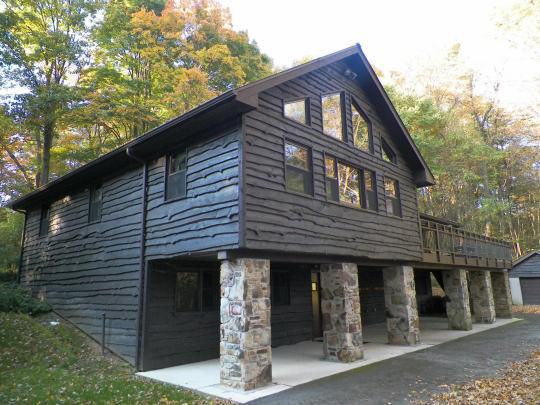 A dark brown wooden building held up by stone pillars features large glass windows and is surrounded by trees.