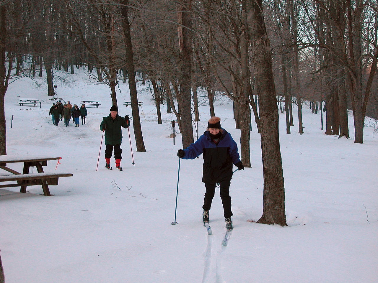 Cross-country skiers on a blanket of snow surrounded by deciduous tress