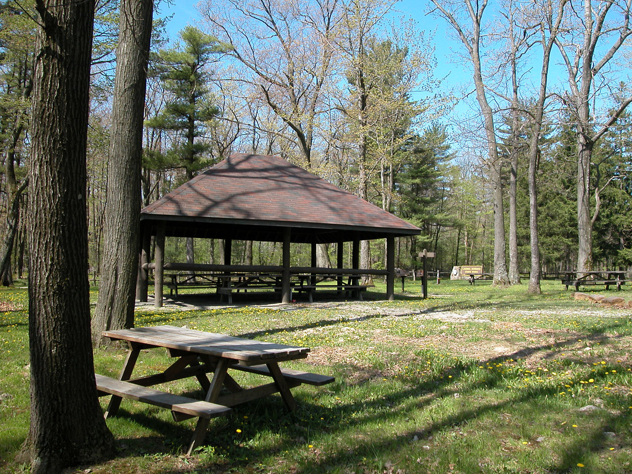 A wooden picnic table and pavilion surrounded by tree with shadows from the sun