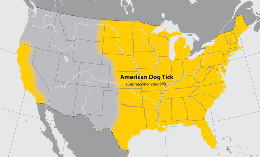 American Dog tick map