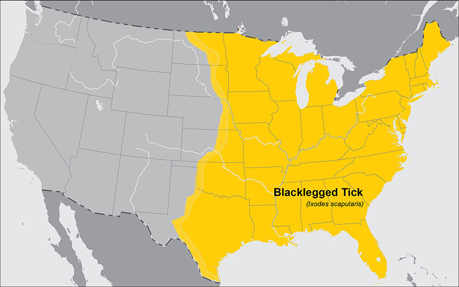 Blacklegged tick map