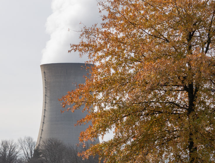 A tree with orange leaves in front of Limerick Generating Station.