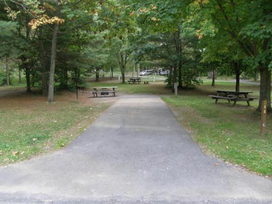 A paved, accessible path meanders through a tranquil forest with bare trees and fallen leaves. A picnic table, designed for easy access, is visible in the background, inviting visitors to enjoy a meal in nature. 