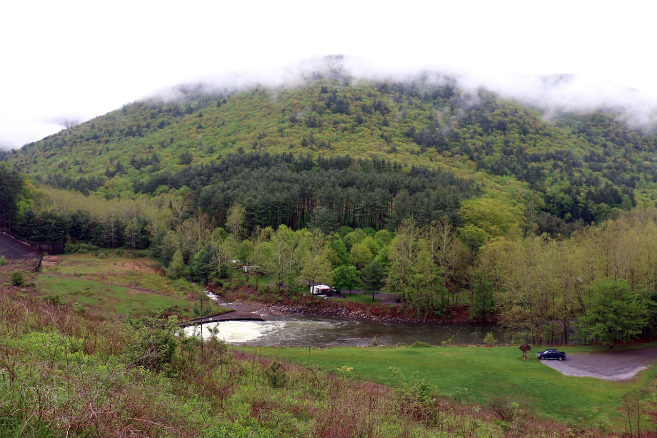 Lush green forest and grasslands with a creek running through