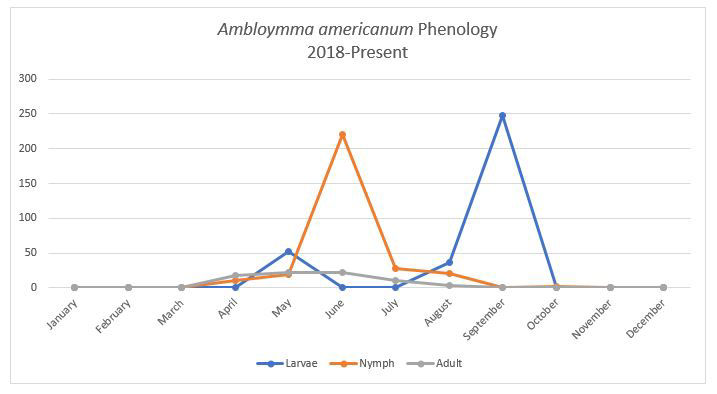 Lone Star tick graph