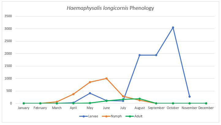 Peak activity periods of Asian Longhorned tick life stages