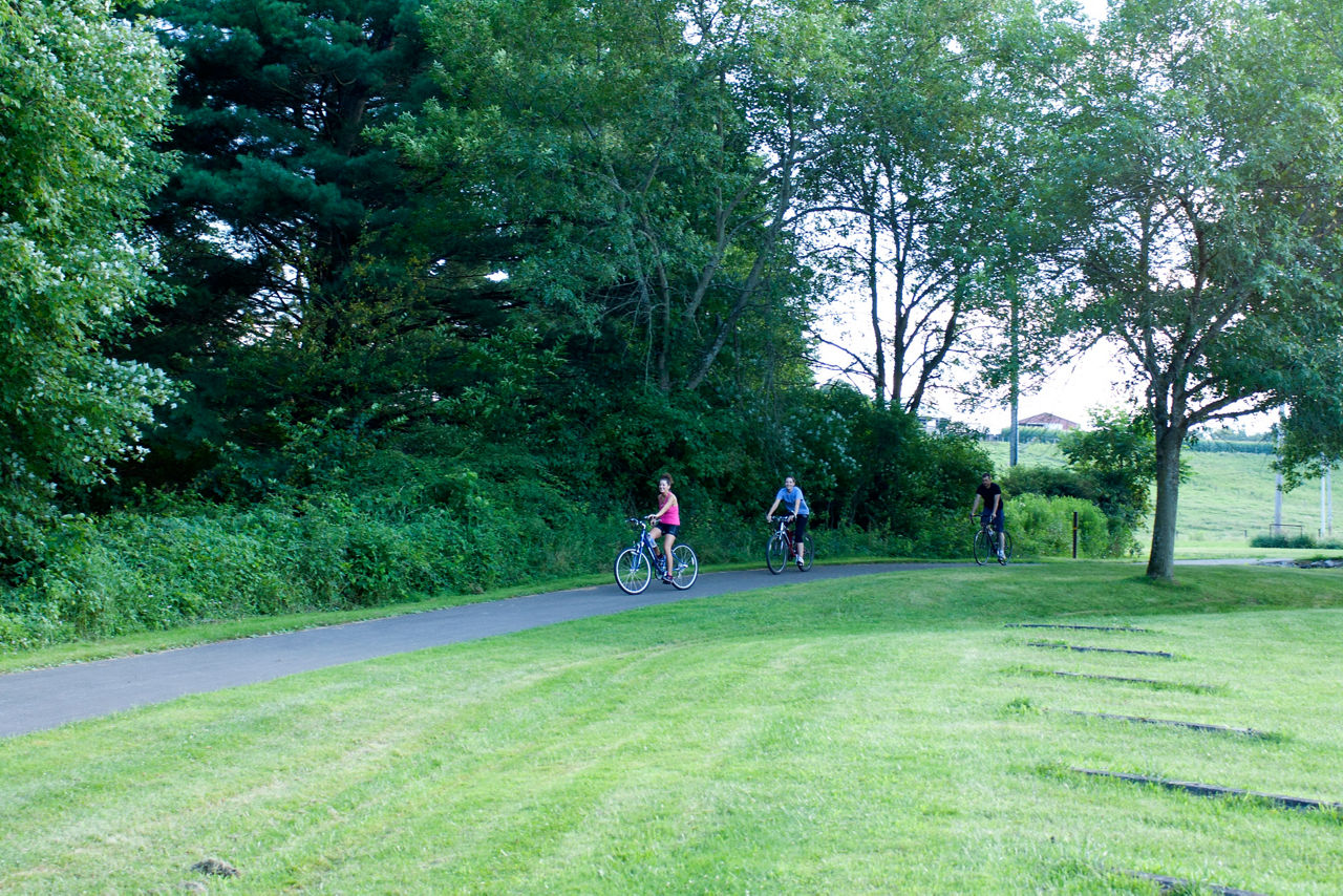 Two bike riders on a gravel path along the forest