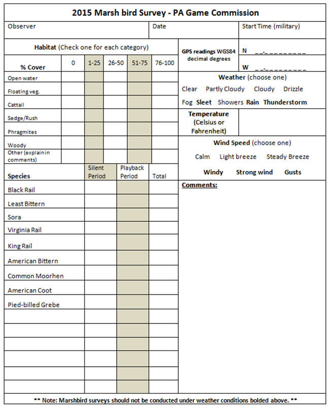 Marsh Birds Survey Appendix