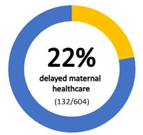 Ring graph showing 22% delayed maternal healthcare (132/604)