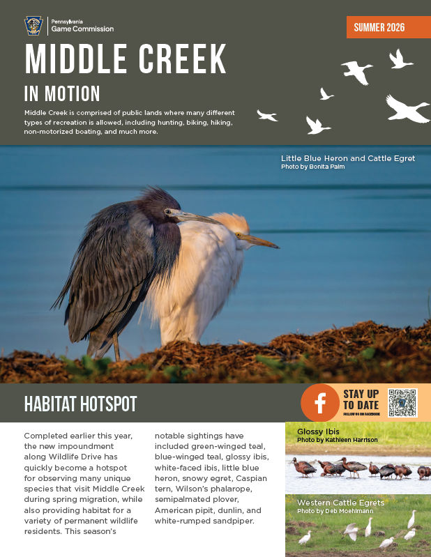 middle creek winter newsletter 2026