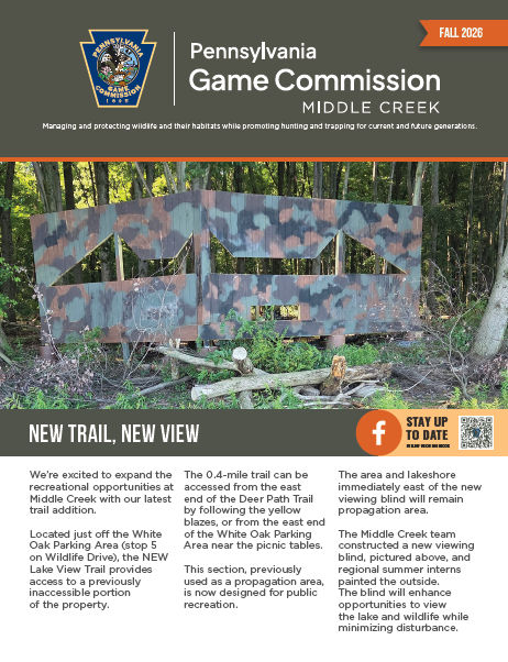 Fall Newsletter