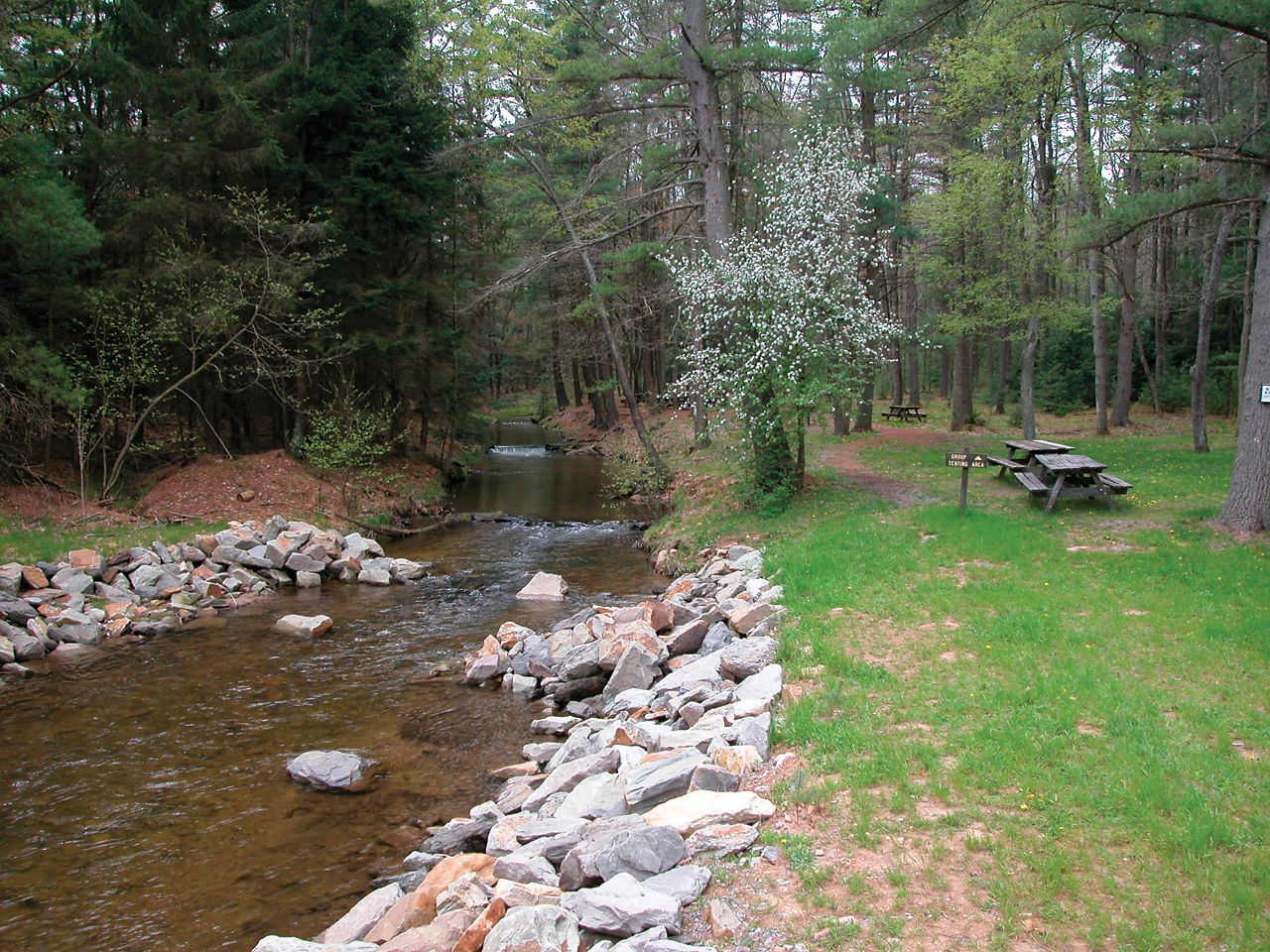 A wooden picnic table in a grassy area along a creek