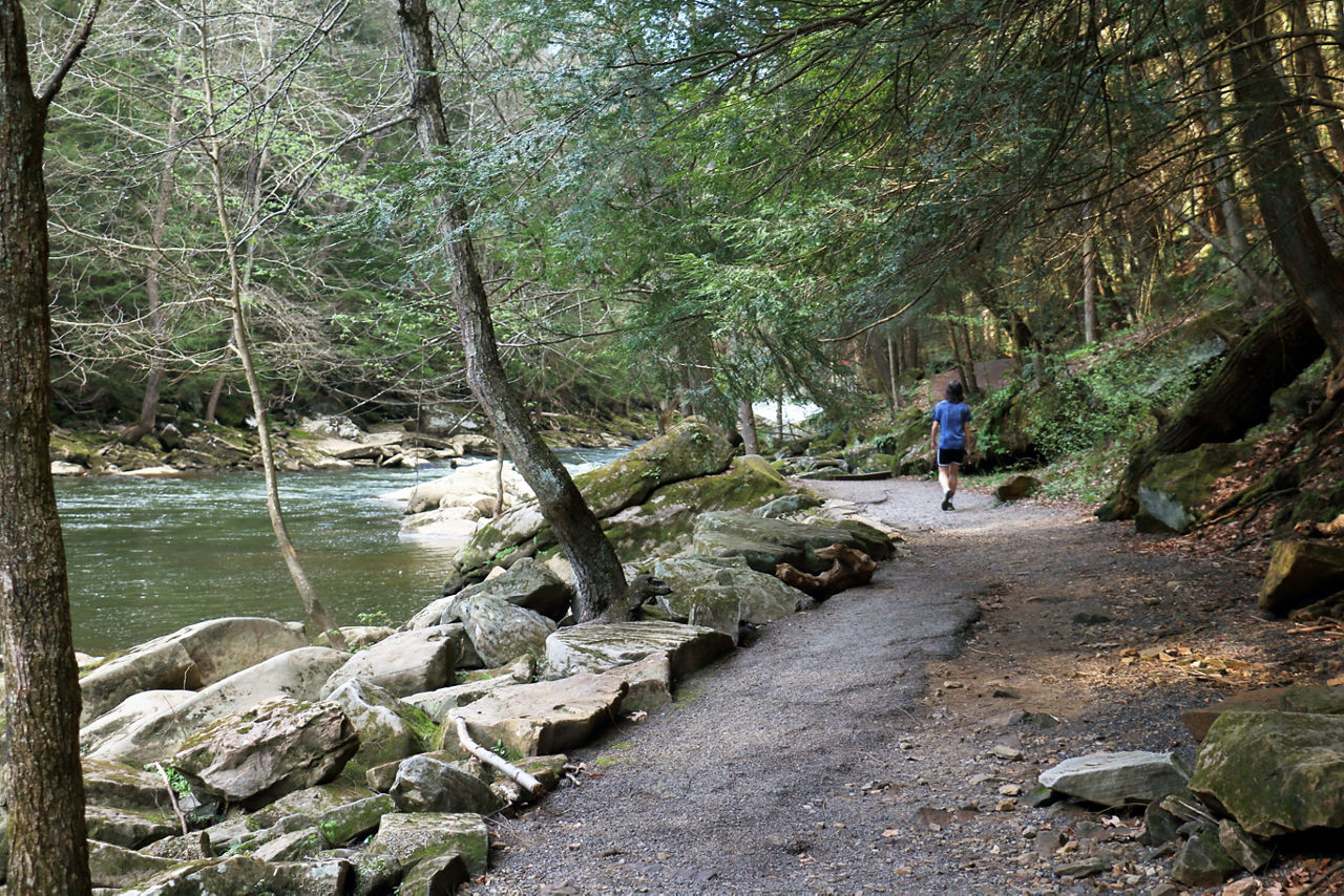 A hiker on a gravel path along a creek