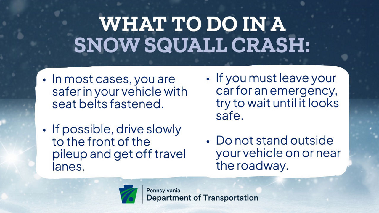 Graphic of snow on a blue background with tips on what to do in a snow squall crash