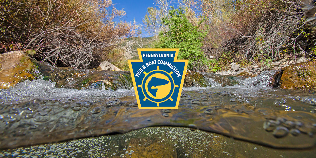 PFBC logo over close-up of the water line of a bubbling stream