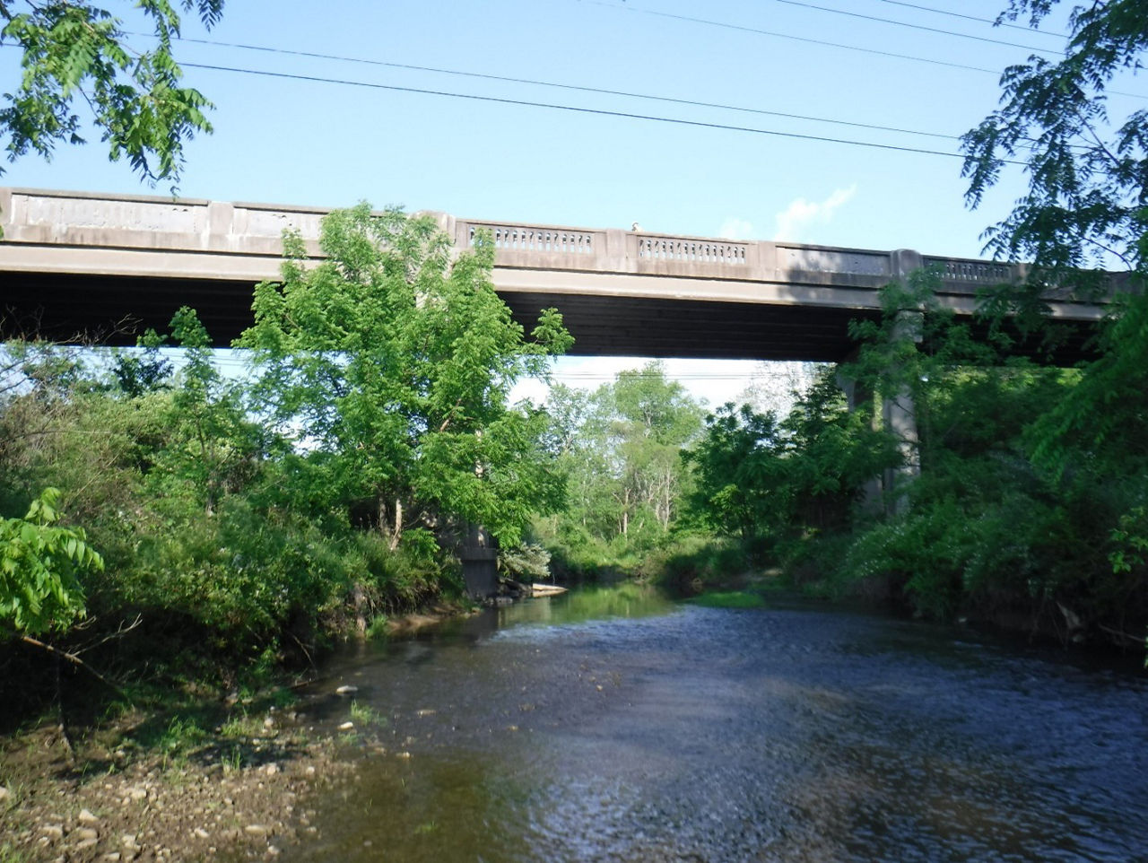 Photo of Route 19 Bridge