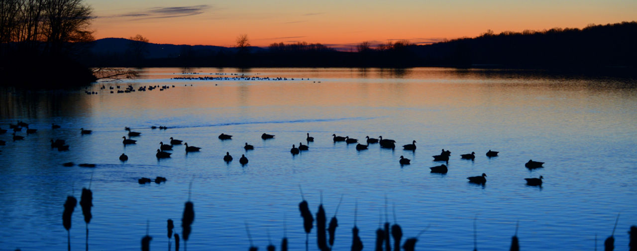 middle creek lake