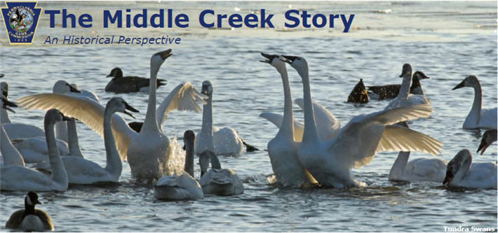 snow geese middel creek 