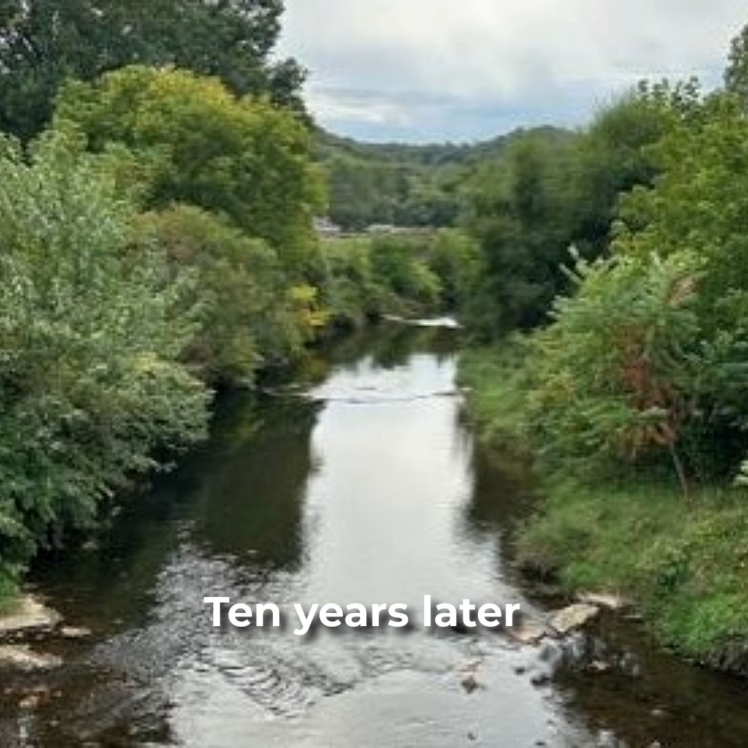 Photo of Mill Creek, Westmoreland County, ten years after Habitat Improvement