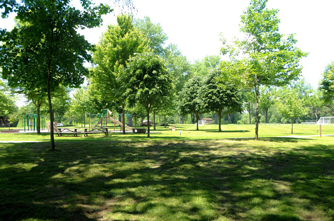 A grassy picnic area with trees providing shade