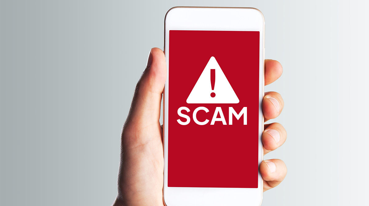 Hand holding a phone that says Scam