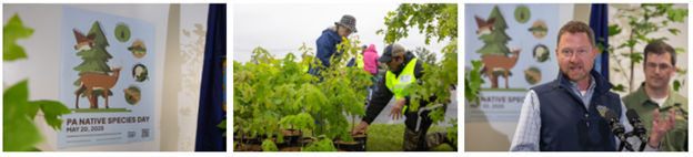 2025 PA Native Species Day 