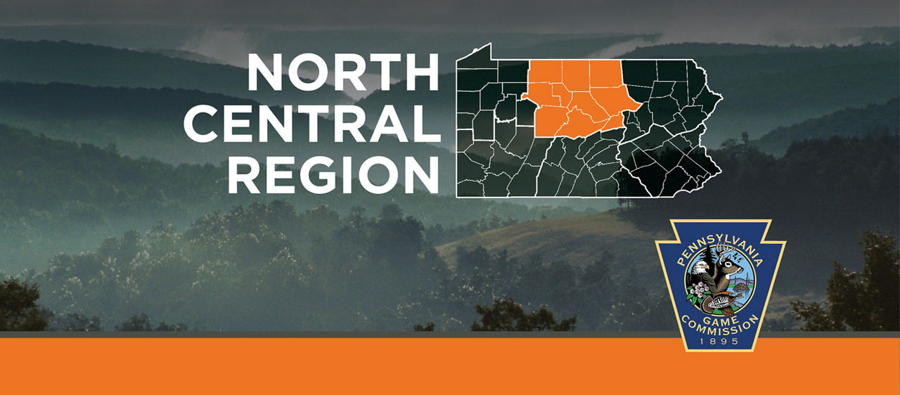 northcentral region