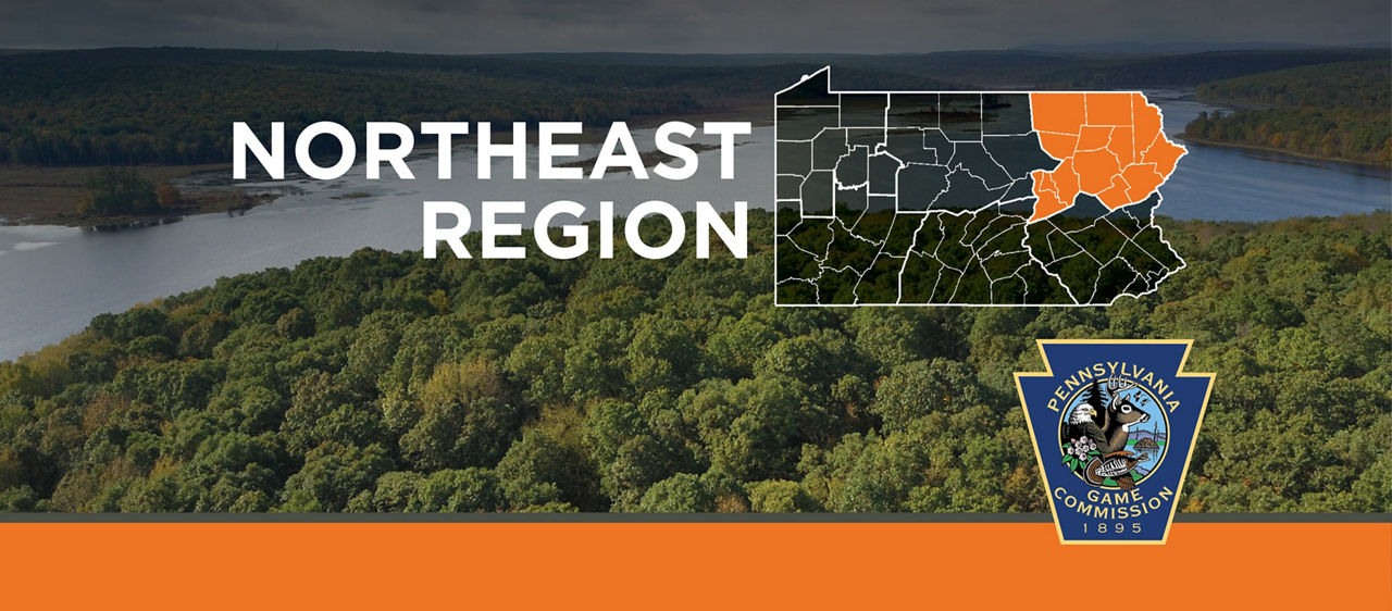 Northeast region 