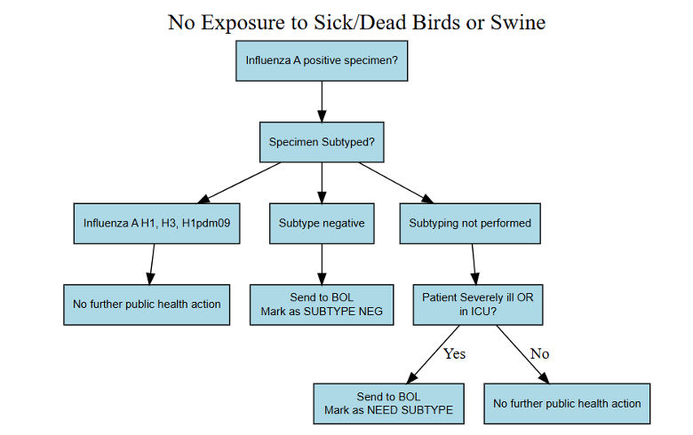 no exposure to sick/dead birds or swine