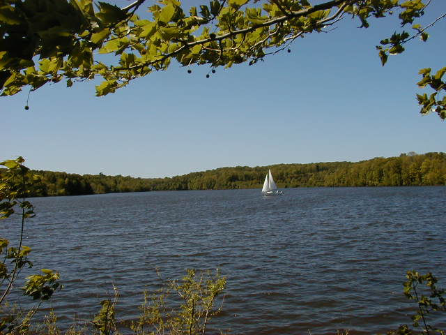 A sailboat in the blue waters of the lake with a forest in the background