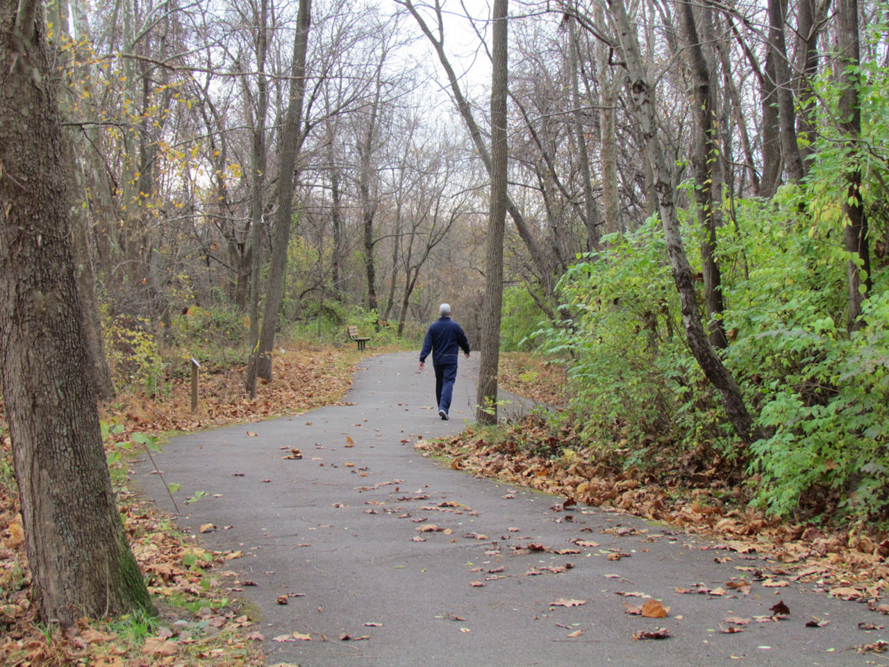 A hiker walking on a gravel path through a forest of bare trees in the fall