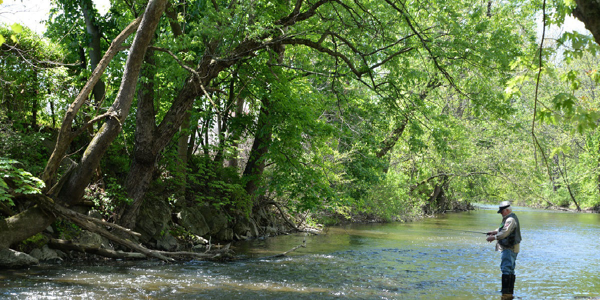 Man casting his fishing rod while wading in a forest covered stream.