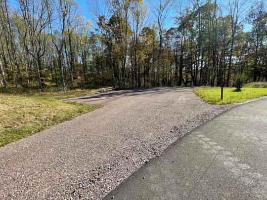 An accessible path meanders through a tranquil forest with bare trees and fallen leaves. A picnic table, designed for easy access, is visible in the background, inviting visitors to enjoy a meal in nature. 