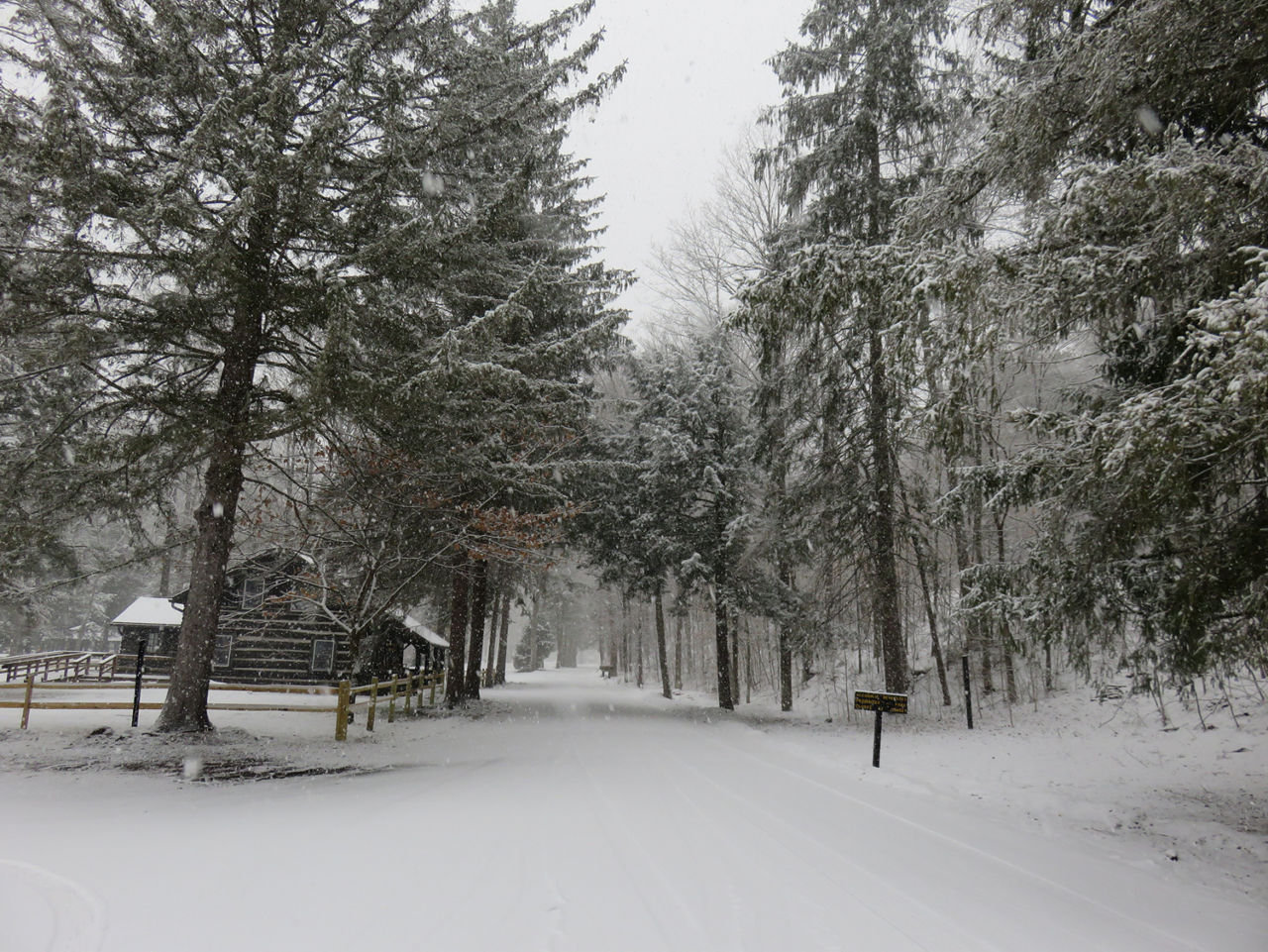 A wooden cabin surrounded by pine trees and all is covered with a blanket of snow