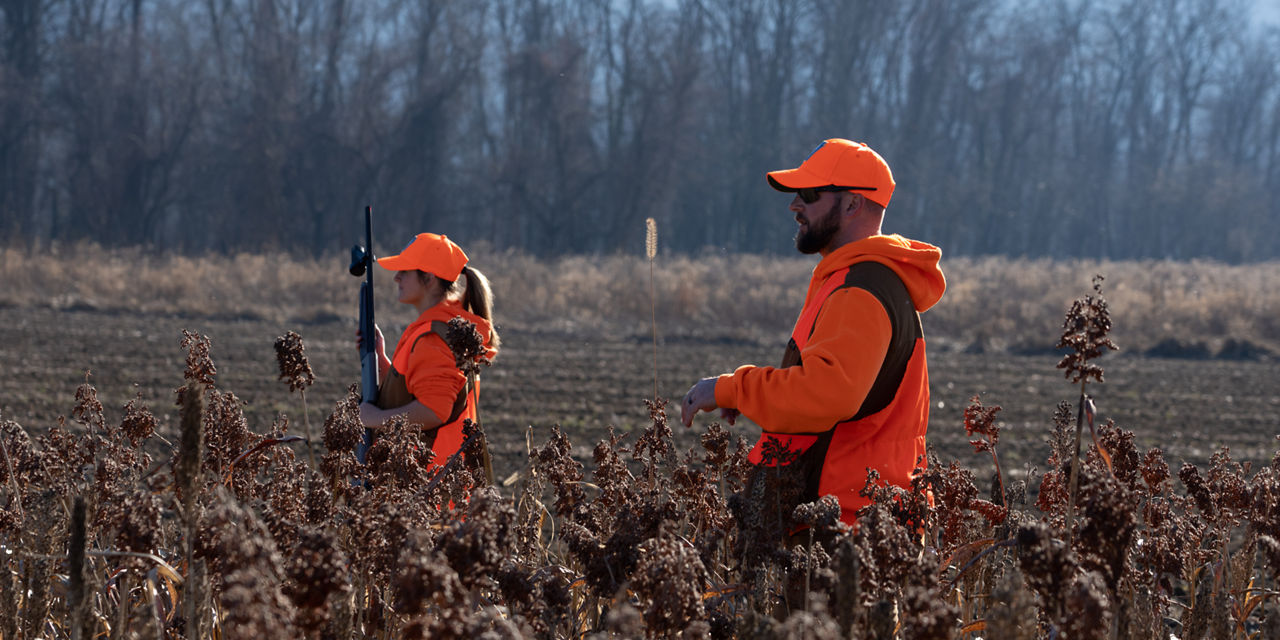 hunters in orange in a field