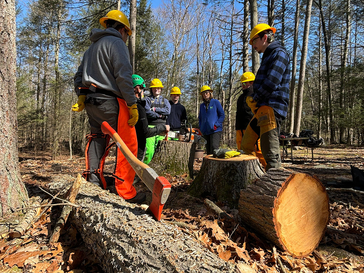 A group of Outdoor Corps Members stands around tree stumps with axes and other tools.