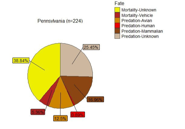 Mortality Causes of Transmittered PA Hens 2011-2013