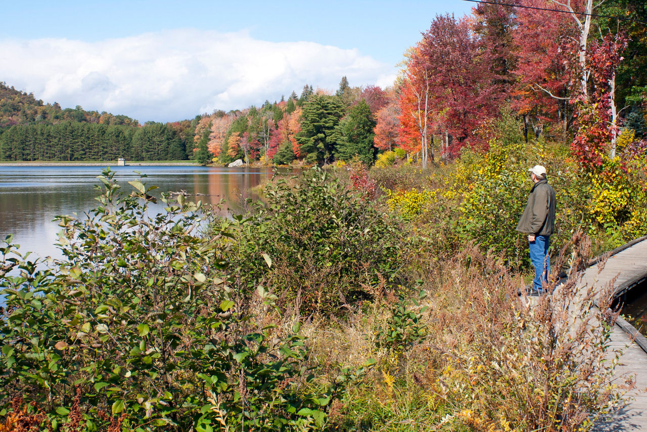 A man on a trail along the lake looking at the beautiful red and orange fall colors of the leaves