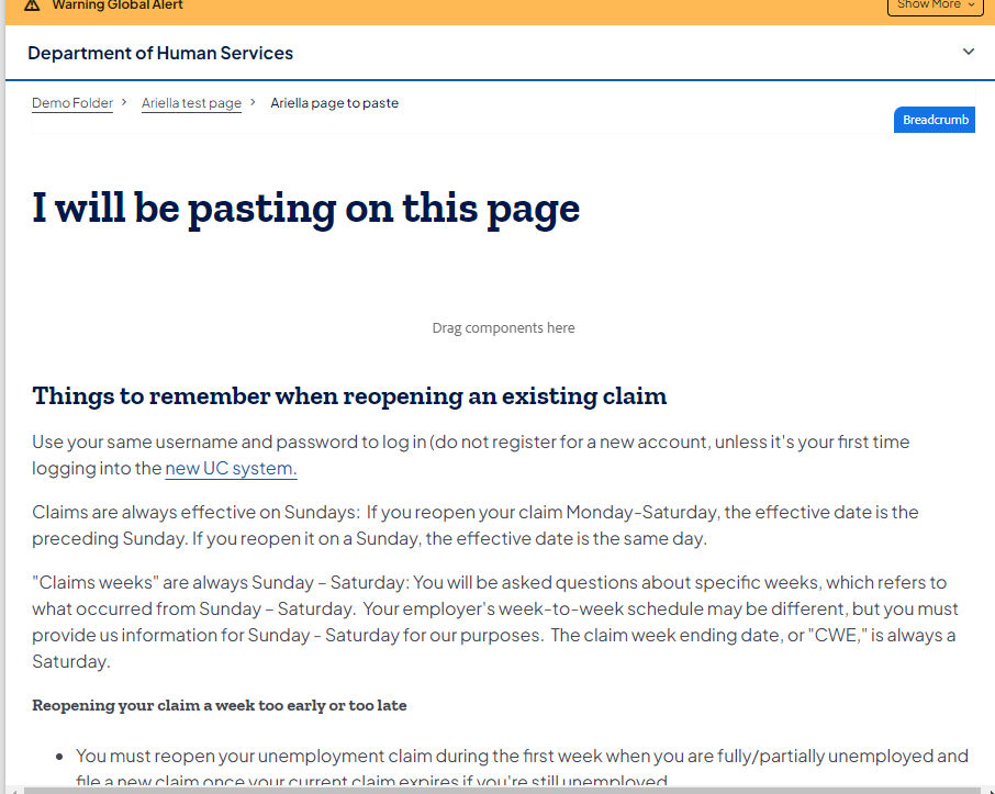 Pasted components display on the formerly blank page.