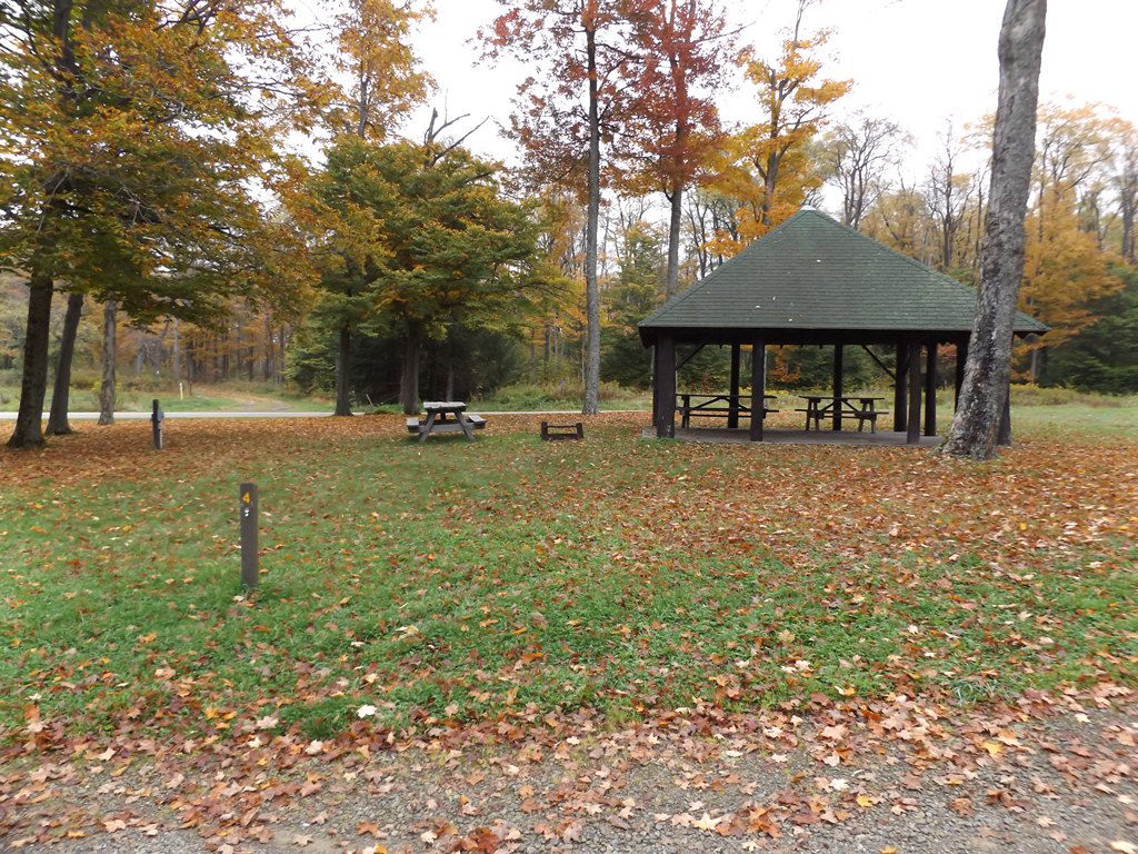 A pavilion and picnic table in a grassy area with some trees nearby in the fall with red and orange leaves