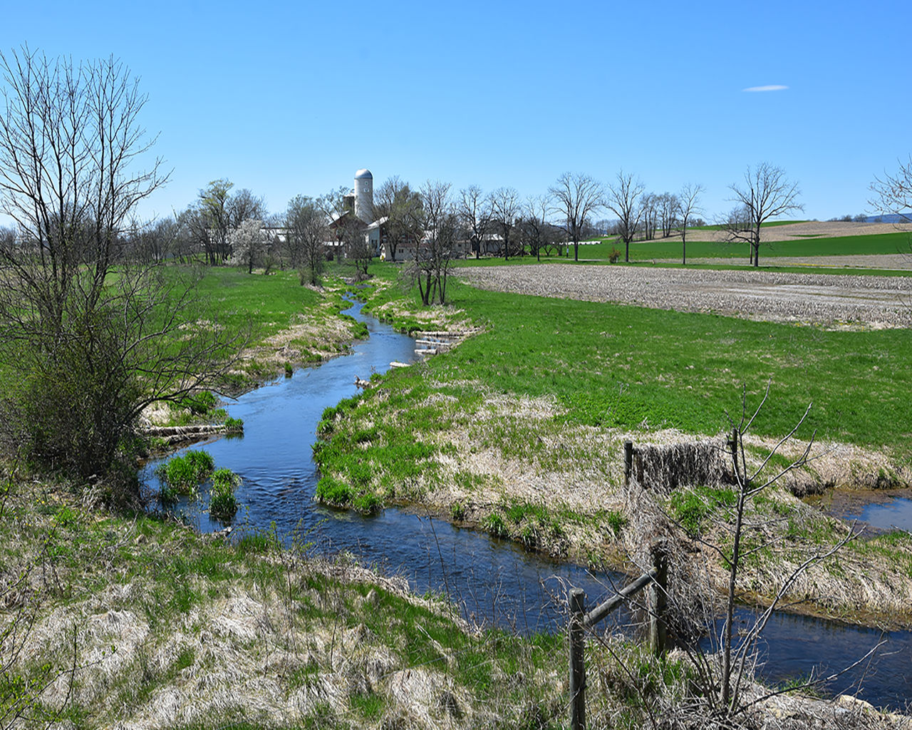 Picture of a stream on farmland that can be impacted by agricultural nutrient and sediment contamination.