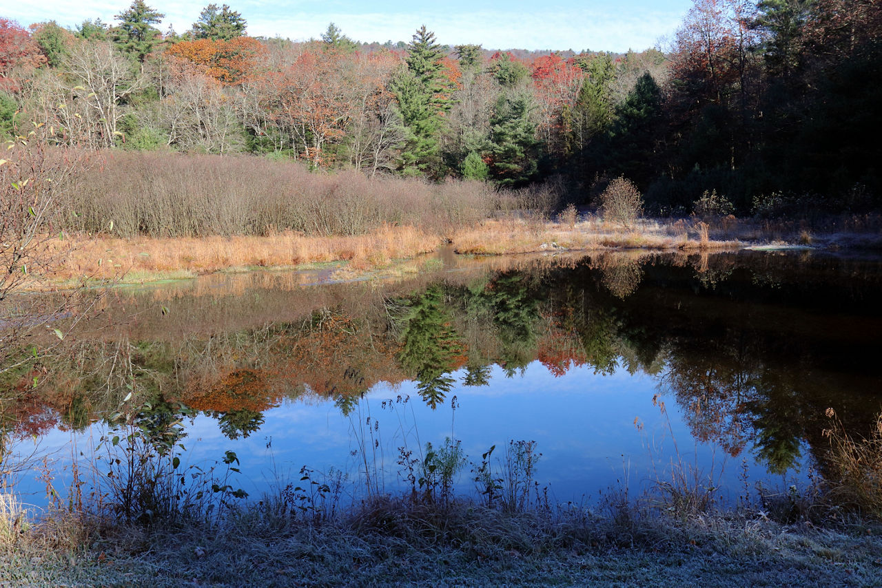 A blue lake reflecting the bare deciduous trees and evergreen trees