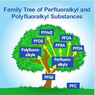 PFASFamilyTree